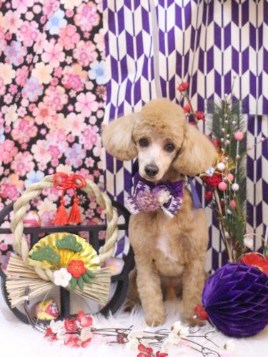 20250130モカくん